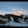 20070305_041